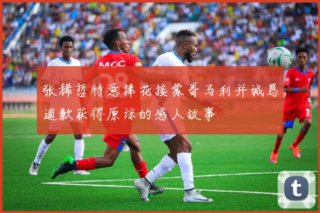 张稀哲特意捧花接蒙哥马利并诚恳道歉获得原谅的感人故事