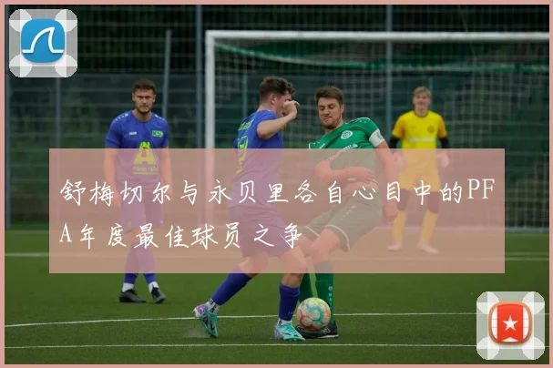 舒梅切尔与永贝里各自心目中的PFA年度最佳球员之争